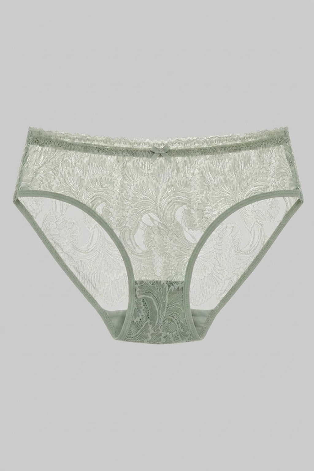 See Through Lace Panty